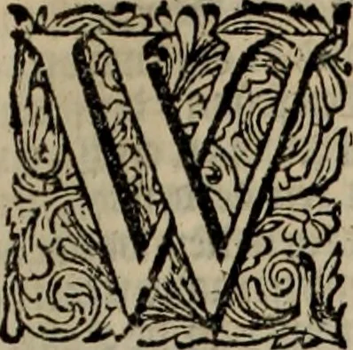 An illustration from Oorsprongk, Begin, en Vervolgh der Nederlandsche Oorlogen, beroerten, en Borgerlyke Oneenigheden : beginnende met d'opdracht der selve Landen, gedaen by Keyser Karel den Vijfden, aen sijnen Soon Konink Philippus van Spanjen, en eindigende met het einde van 't jaer M D C, 1679, leaf 189