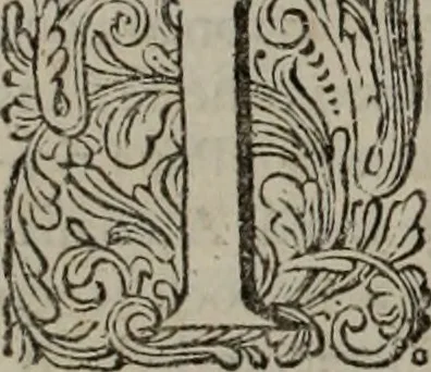 An illustration from Oorsprongk, Begin, en Vervolgh der Nederlandsche Oorlogen, beroerten, en Borgerlyke Oneenigheden : beginnende met d'opdracht der selve Landen, gedaen by Keyser Karel den Vijfden, aen sijnen Soon Konink Philippus van Spanjen, en eindigende met het einde van 't jaer M D C, 1679, leaf 19