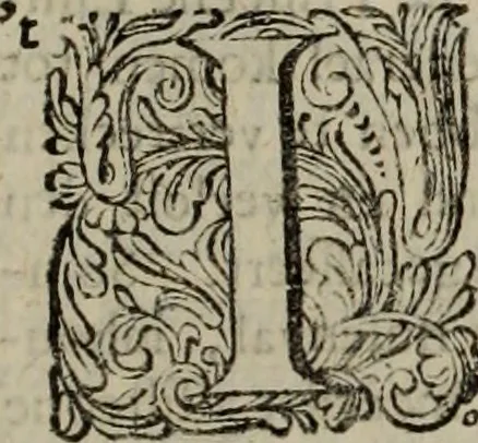 An illustration from Oorsprongk, Begin, en Vervolgh der Nederlandsche Oorlogen, beroerten, en Borgerlyke Oneenigheden : beginnende met d'opdracht der selve Landen, gedaen by Keyser Karel den Vijfden, aen sijnen Soon Konink Philippus van Spanjen, en eindigende met het einde van 't jaer M D C, 1679, leaf 328