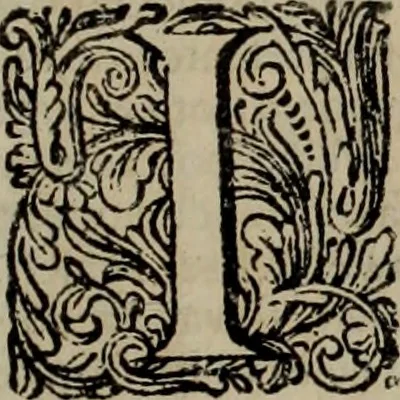 An illustration from Oorsprongk, Begin, en Vervolgh der Nederlandsche Oorlogen, beroerten, en Borgerlyke Oneenigheden : beginnende met d'opdracht der selve Landen, gedaen by Keyser Karel den Vijfden, aen sijnen Soon Konink Philippus van Spanjen, en eindigende met het einde van 't jaer M D C, 1679, leaf 454