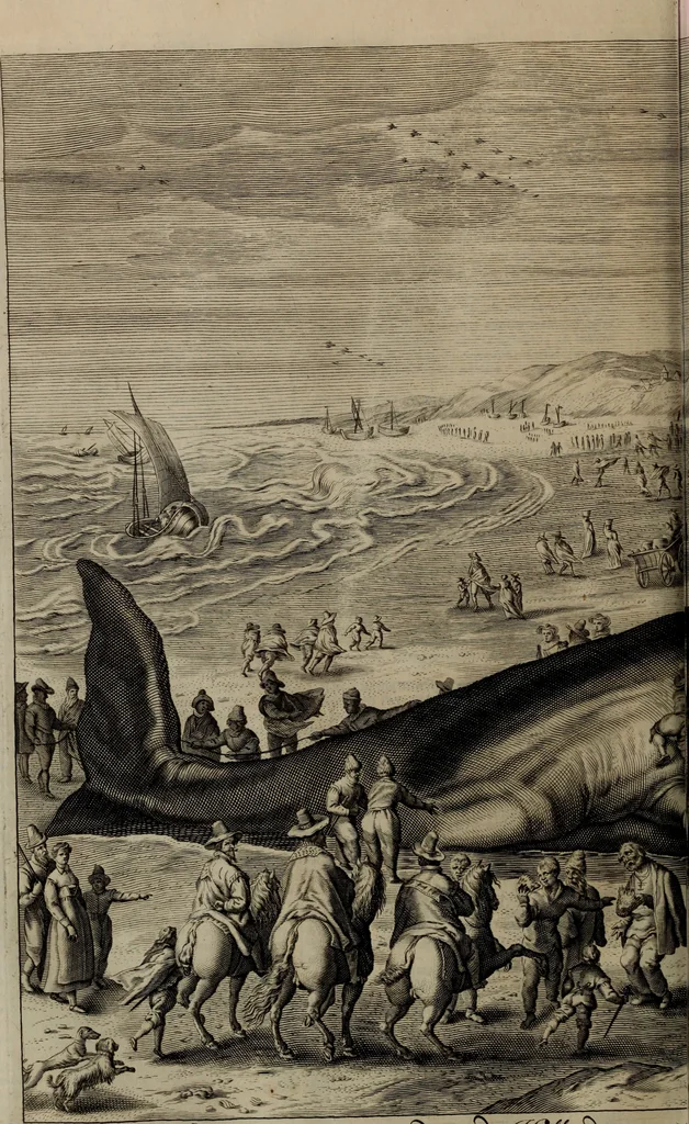 An illustration from Oorsprongk, Begin, en Vervolgh der Nederlandsche Oorlogen, beroerten, en Borgerlyke Oneenigheden : beginnende met d'opdracht der selve Landen, gedaen by Keyser Karel den Vijfden, aen sijnen Soon Konink Philippus van Spanjen, en eindigende met het einde van 't jaer M D C, 1679, leaf 465