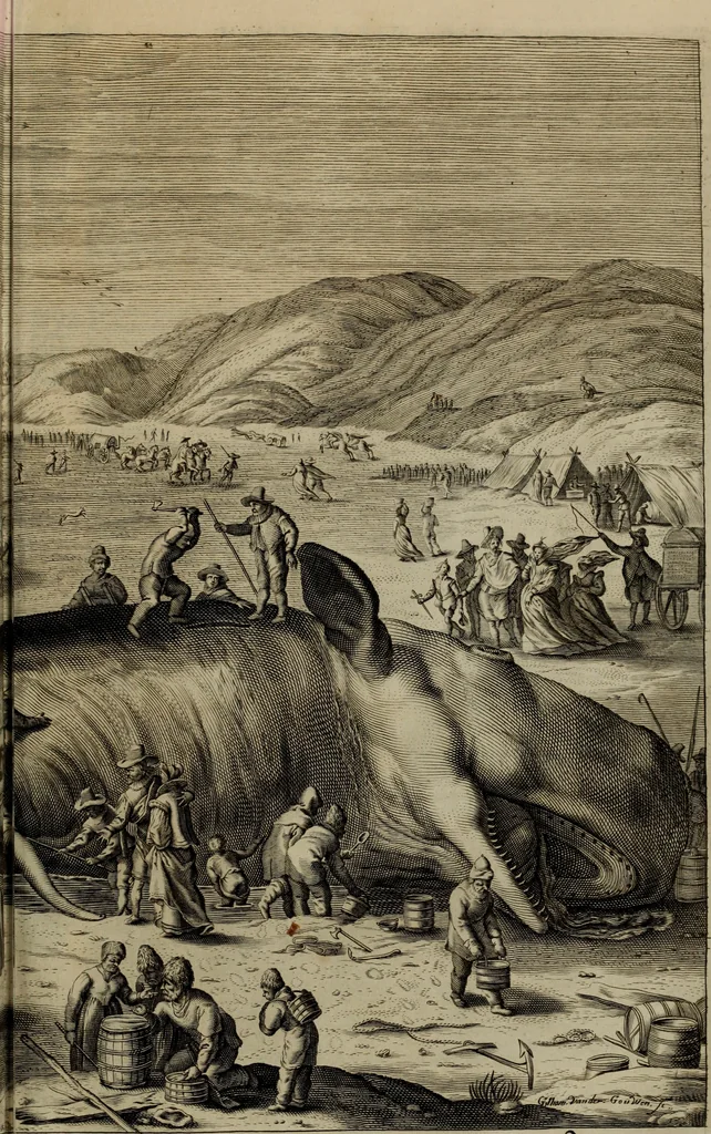 An illustration from Oorsprongk, Begin, en Vervolgh der Nederlandsche Oorlogen, beroerten, en Borgerlyke Oneenigheden : beginnende met d'opdracht der selve Landen, gedaen by Keyser Karel den Vijfden, aen sijnen Soon Konink Philippus van Spanjen, en eindigende met het einde van 't jaer M D C, 1679, leaf 466
