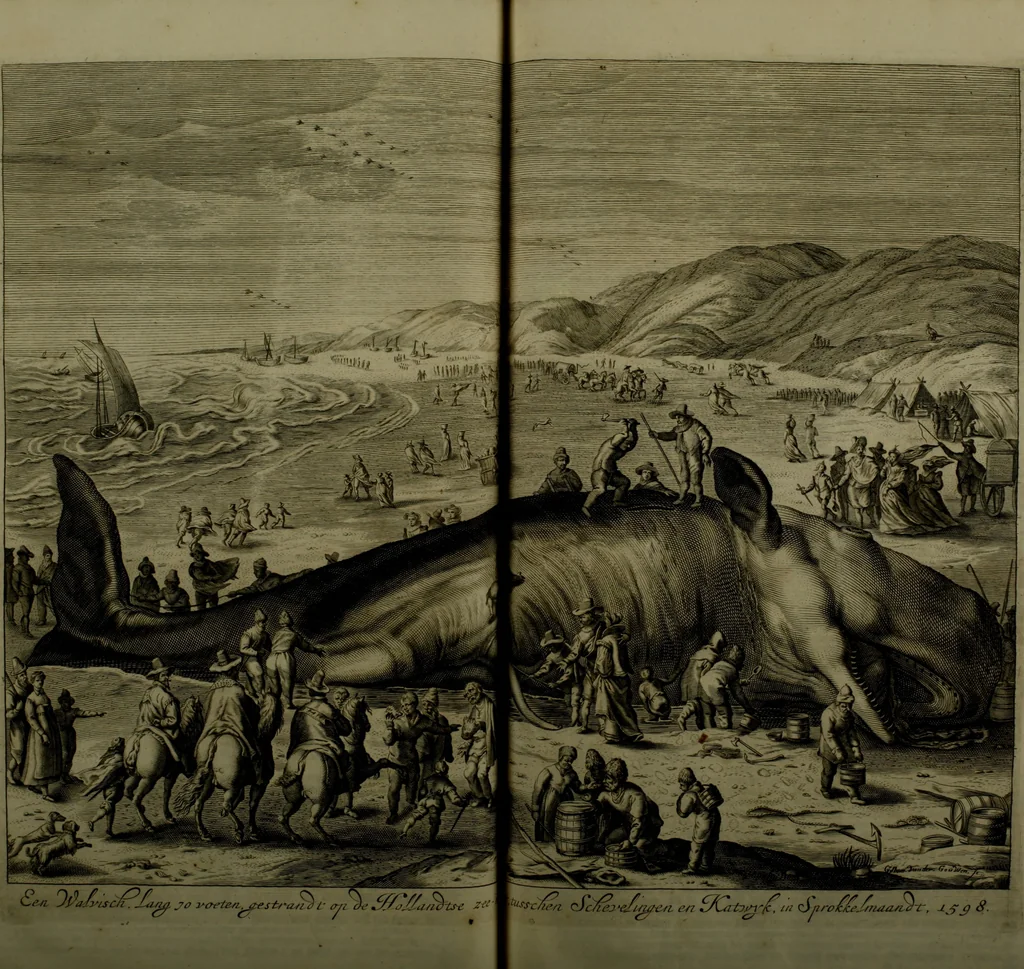 An illustration from Oorsprongk, Begin, en Vervolgh der Nederlandsche Oorlogen, beroerten, en Borgerlyke Oneenigheden : beginnende met d'opdracht der selve Landen, gedaen by Keyser Karel den Vijfden, aen sijnen Soon Konink Philippus van Spanjen, en eindigende met het einde van 't jaer M D C, 1679, leaf 467