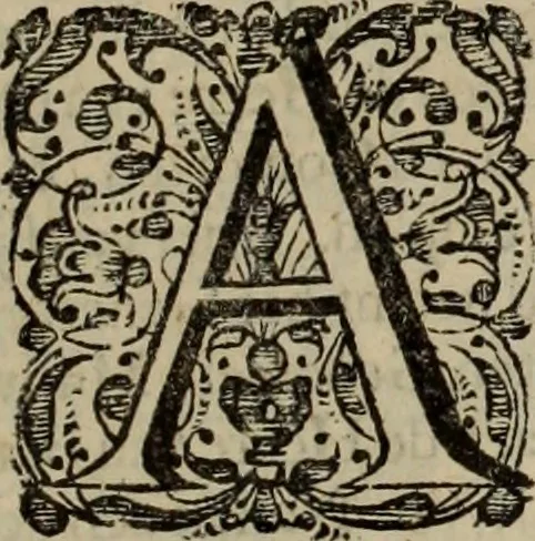 An illustration from Oorsprongk, Begin, en Vervolgh der Nederlandsche Oorlogen, beroerten, en Borgerlyke Oneenigheden : beginnende met d'opdracht der selve Landen, gedaen by Keyser Karel den Vijfden, aen sijnen Soon Konink Philippus van Spanjen, en eindigende met het einde van 't jaer M D C, 1679, leaf 551