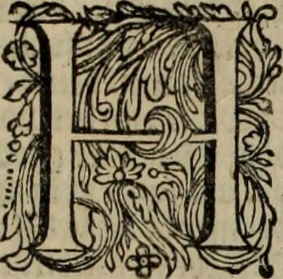 An illustration from Oorsprongk, Begin, en Vervolgh der Nederlandsche Oorlogen, beroerten, en Borgerlyke Oneenigheden : beginnende met d'opdracht der selve Landen, gedaen by Keyser Karel den Vijfden, aen sijnen Soon Konink Philippus van Spanjen, en eindigende met het einde van 't jaer M D C, 1679, leaf 555