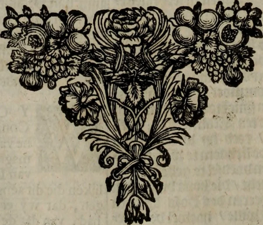 An illustration from Oorsprongk, Begin, en Vervolgh der Nederlandsche Oorlogen, beroerten, en Borgerlyke Oneenigheden : beginnende met d'opdracht der selve Landen, gedaen by Keyser Karel den Vijfden, aen sijnen Soon Konink Philippus van Spanjen, en eindigende met het einde van 't jaer M D C, 1679, leaf 644