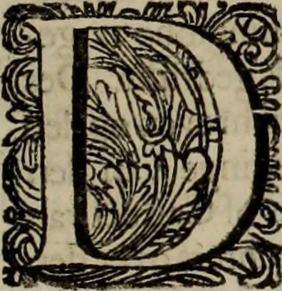 An illustration from Oorsprongk, Begin, en Vervolgh der Nederlandsche Oorlogen, beroerten, en Borgerlyke Oneenigheden : beginnende met d'opdracht der selve Landen, gedaen by Keyser Karel den Vijfden, aen sijnen Soon Konink Philippus van Spanjen, en eindigende met het einde van 't jaer M D C, 1679, leaf 645