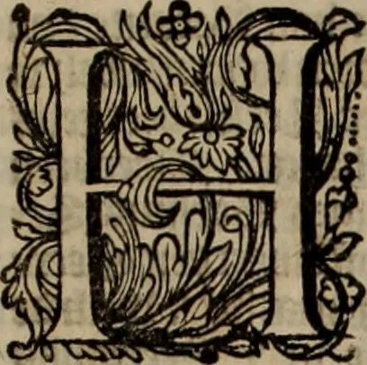 An illustration from Oorsprongk, Begin, en Vervolgh der Nederlandsche Oorlogen, beroerten, en Borgerlyke Oneenigheden : beginnende met d'opdracht der selve Landen, gedaen by Keyser Karel den Vijfden, aen sijnen Soon Konink Philippus van Spanjen, en eindigende met het einde van 't jaer M D C, 1679, leaf 654