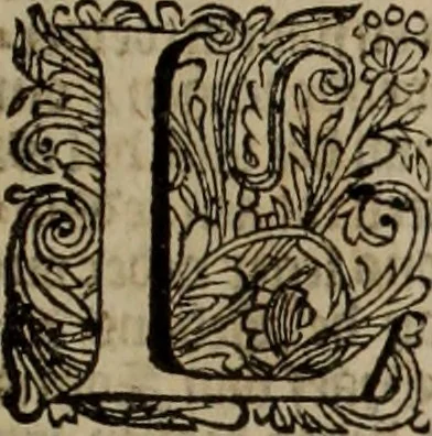 An illustration from Oorsprongk, Begin, en Vervolgh der Nederlandsche Oorlogen, beroerten, en Borgerlyke Oneenigheden : beginnende met d'opdracht der selve Landen, gedaen by Keyser Karel den Vijfden, aen sijnen Soon Konink Philippus van Spanjen, en eindigende met het einde van 't jaer M D C, 1679, leaf 759