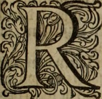 An illustration from Oorsprongk, Begin, en Vervolgh der Nederlandsche Oorlogen, beroerten, en Borgerlyke Oneenigheden : beginnende met d'opdracht der selve Landen, gedaen by Keyser Karel den Vijfden, aen sijnen Soon Konink Philippus van Spanjen, en eindigende met het einde van 't jaer M D C, 1679, leaf 773