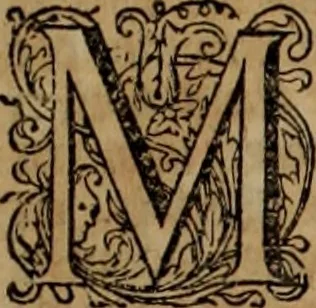 An illustration from Oorsprongk, Begin, en Vervolgh der Nederlandsche Oorlogen, beroerten, en Borgerlyke Oneenigheden : beginnende met d'opdracht der selve Landen, gedaen by Keyser Karel den Vijfden, aen sijnen Soon Konink Philippus van Spanjen, en eindigende met het einde van 't jaer M D C, 1679, leaf 783