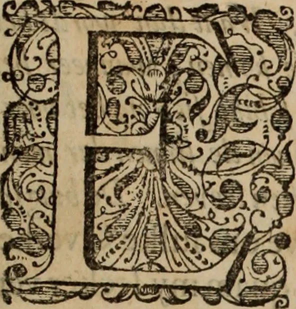 An illustration from Oorsprongk, Begin, en Vervolgh der Nederlandsche Oorlogen, beroerten, en Borgerlyke Oneenigheden : beginnende met d'opdracht der selve Landen, gedaen by Keyser Karel den Vijfden, aen sijnen Soon Konink Philippus van Spanjen, en eindigende met het einde van 't jaer M D C, 1679, leaf 791