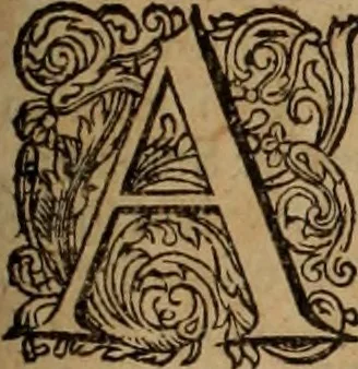 An illustration from Oorsprongk, Begin, en Vervolgh der Nederlandsche Oorlogen, beroerten, en Borgerlyke Oneenigheden : beginnende met d'opdracht der selve Landen, gedaen by Keyser Karel den Vijfden, aen sijnen Soon Konink Philippus van Spanjen, en eindigende met het einde van 't jaer M D C, 1679, leaf 793