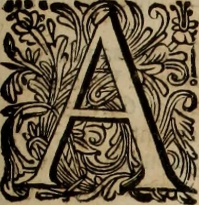 An illustration from Oorsprongk, Begin, en Vervolgh der Nederlandsche Oorlogen, beroerten, en Borgerlyke Oneenigheden : beginnende met d'opdracht der selve Landen, gedaen by Keyser Karel den Vijfden, aen sijnen Soon Konink Philippus van Spanjen, en eindigende met het einde van 't jaer M D C, 1679, leaf 803