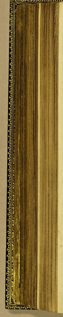 An illustration from Oost- en West-Indische voyagie; door de Strate Magallanes naer de Moluques, met ses schepen onder den commandeur Ioris Spilbergen. : Als mede de wonderlijcke reyse ghedaen door Willem Cornelisz Schouten van Hoorn, en Iacob le Maire, in den jaere 1615, 1616, 1617. Hoe sy bezuyden de Straet van Magallanes een nieuwe passagie tot in den groote Zuydt-Zee ontdeckt, voort den gheheelen aerd-kloot om-ghezeylt hebben ., 1648, leaf 14