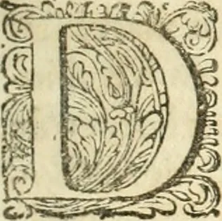 An illustration from Oost-Indische voyagie; vervattende veel voorname voorvallen en ongemeene oreemde geschiedenissen, bloedige zee- en landtgevechten tegen de Portugeesen en Makassaren .., 1676, leaf 10