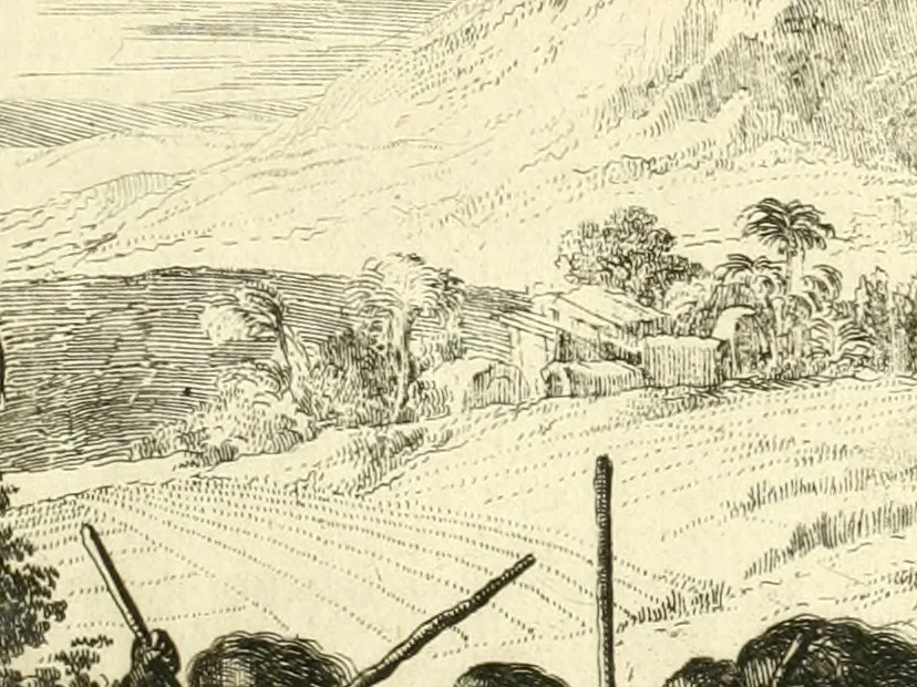 An illustration from Oost-Indische voyagie; vervattende veel voorname voorvallen en ongemeene oreemde geschiedenissen, bloedige zee- en landtgevechten tegen de Portugeesen en Makassaren .., 1676, leaf 238