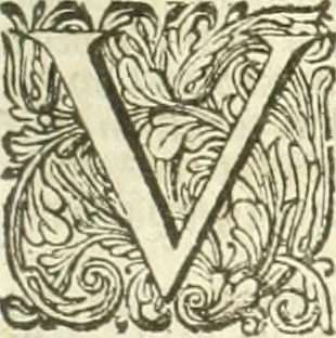 An illustration from Oost-Indische voyagie; vervattende veel voorname voorvallen en ongemeene oreemde geschiedenissen, bloedige zee- en landtgevechten tegen de Portugeesen en Makassaren .., 1676, leaf 408