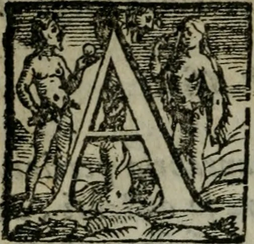 An illustration from Opera ..., 1598, leaf 113