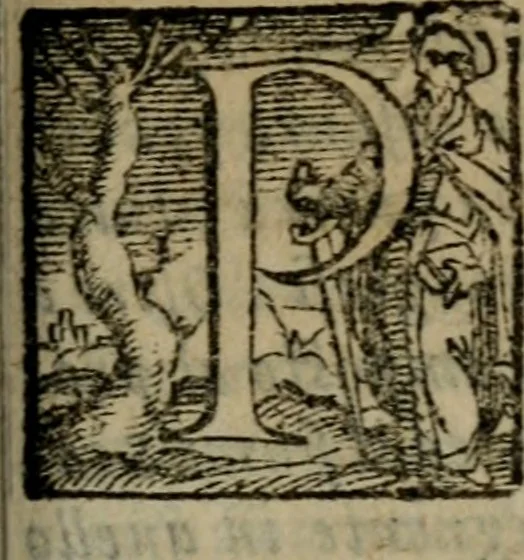 An illustration from Opera ..., 1598, leaf 266