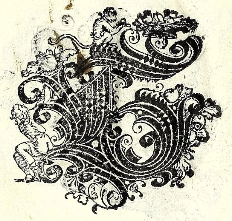 An illustration from Opera di frate Vespasiano Amphiareo da Ferrara dell'ordine minore conventvale, nella qvale s'insegna a scrivere varie sorti di lettere : & massime una lettera bastarda da lui nouamente con sua industria ritrouata, laquale serue al cancellaresco & mercantesco : poi insegna a far l'inchiostro negrissimo con tanta facilità, che ciascuno per semplice che sia, lo saprà far da se : anchora a macinar l'oro, & scriuere con esso come si farà con l'inchiostro, parimente a scriuere con l'azurro, & col cenaprio : opera vtilissima, e molto necessaria all'uso humano : aggivntovi di nvovo dve bellissimi alpha beti di maiuscole, che nell'altre impressioni non si sono piu stampati, 1572, leaf 74