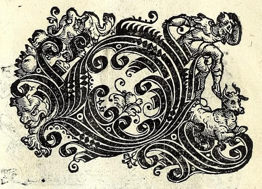 An illustration from Opera di frate Vespasiano Amphiareo da Ferrara dell'ordine minore conventvale, nella qvale s'insegna a scrivere varie sorti di lettere : & massime una lettera bastarda da lui nouamente con sua industria ritrouata, laquale serue al cancellaresco & mercantesco : poi insegna a far l'inchiostro negrissimo con tanta facilità, che ciascuno per semplice che sia, lo saprà far da se : anchora a macinar l'oro, & scriuere con esso come si farà con l'inchiostro, parimente a scriuere con l'azurro, & col cenaprio : opera vtilissima, e molto necessaria all'uso humano : aggivntovi di nvovo dve bellissimi alpha beti di maiuscole, che nell'altre impressioni non si sono piu stampati, 1572, leaf 78