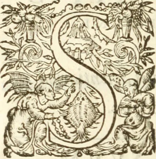 An illustration from [Opera Francisci Baronis de Vervlamio ... Tomvs primvs; qui continet De dignitate & augmentis scientiarum, libros IX .., 1623, leaf 205