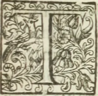 An illustration from [Opera Francisci Baronis de Vervlamio ... Tomvs primvs; qui continet De dignitate & augmentis scientiarum, libros IX .., 1623, leaf 278