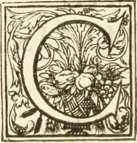 An illustration from [Opera Francisci Baronis de Vervlamio ... Tomvs primvs; qui continet De dignitate & augmentis scientiarum, libros IX .., 1623, leaf 293