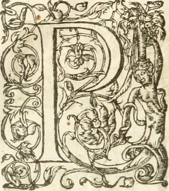 An illustration from [Opera Francisci Baronis de Vervlamio ... Tomvs primvs; qui continet De dignitate & augmentis scientiarum, libros IX .., 1623, leaf 367