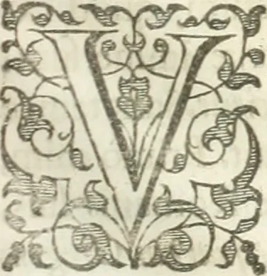 An illustration from [Opera Francisci Baronis de Vervlamio ... Tomvs primvs; qui continet De dignitate & augmentis scientiarum, libros IX .., 1623, leaf 404