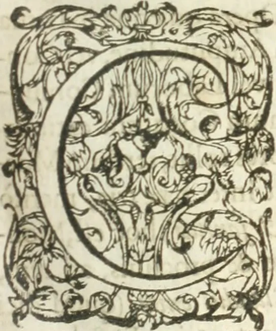 An illustration from [Opera Francisci Baronis de Vervlamio ... Tomvs primvs; qui continet De dignitate & augmentis scientiarum, libros IX .., 1623, leaf 88