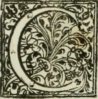 An illustration from Opera historica et philologica, sacra et profana. In quibus historia Boica, res augustanae, conversio & passio ss. martyrum Afrae, Hilariae, Dignae [et al.] ... continentur, 1682, leaf 102