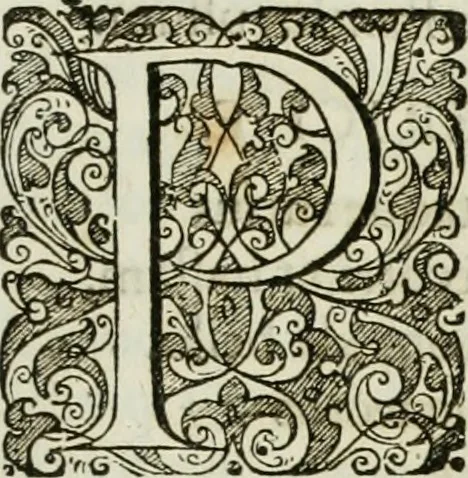 An illustration from Opera historica et philologica, sacra et profana. In quibus historia Boica, res augustanae, conversio & passio ss. martyrum Afrae, Hilariae, Dignae [et al.] ... continentur, 1682, leaf 1026