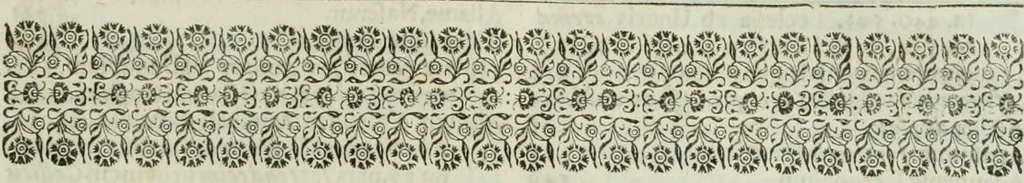 An illustration from Opera historica et philologica, sacra et profana. In quibus historia Boica, res augustanae, conversio & passio ss. martyrum Afrae, Hilariae, Dignae [et al.] ... continentur, 1682, leaf 1044
