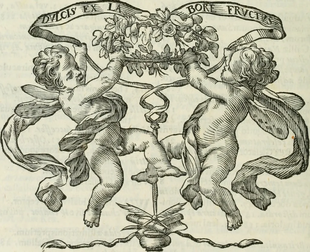 An illustration from Opera historica et philologica, sacra et profana. In quibus historia Boica, res augustanae, conversio & passio ss. martyrum Afrae, Hilariae, Dignae [et al.] ... continentur, 1682, leaf 1069