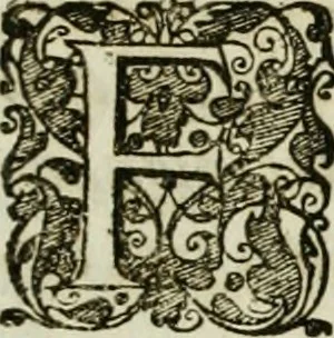 An illustration from Opera historica et philologica, sacra et profana. In quibus historia Boica, res augustanae, conversio & passio ss. martyrum Afrae, Hilariae, Dignae [et al.] ... continentur, 1682, leaf 1076