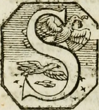 An illustration from Opera historica et philologica, sacra et profana. In quibus historia Boica, res augustanae, conversio & passio ss. martyrum Afrae, Hilariae, Dignae [et al.] ... continentur, 1682, leaf 1077