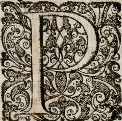 An illustration from Opera historica et philologica, sacra et profana. In quibus historia Boica, res augustanae, conversio & passio ss. martyrum Afrae, Hilariae, Dignae [et al.] ... continentur, 1682, leaf 134