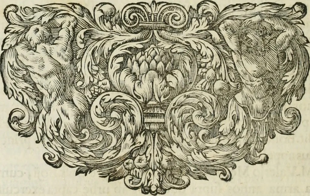 An illustration from Opera historica et philologica, sacra et profana. In quibus historia Boica, res augustanae, conversio & passio ss. martyrum Afrae, Hilariae, Dignae [et al.] ... continentur, 1682, leaf 169