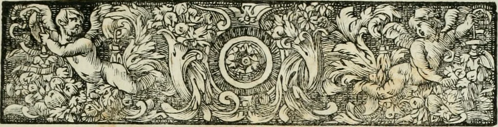 An illustration from Opera historica et philologica, sacra et profana. In quibus historia Boica, res augustanae, conversio & passio ss. martyrum Afrae, Hilariae, Dignae [et al.] ... continentur, 1682, leaf 170