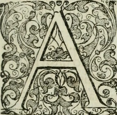 An illustration from Opera historica et philologica, sacra et profana. In quibus historia Boica, res augustanae, conversio & passio ss. martyrum Afrae, Hilariae, Dignae [et al.] ... continentur, 1682, leaf 170