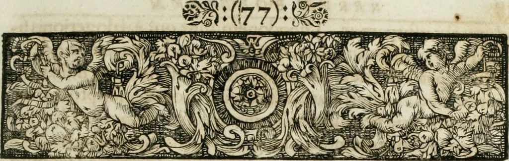 An illustration from Opera historica et philologica, sacra et profana. In quibus historia Boica, res augustanae, conversio & passio ss. martyrum Afrae, Hilariae, Dignae [et al.] ... continentur, 1682, leaf 210