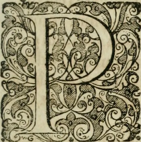 An illustration from Opera historica et philologica, sacra et profana. In quibus historia Boica, res augustanae, conversio & passio ss. martyrum Afrae, Hilariae, Dignae [et al.] ... continentur, 1682, leaf 210