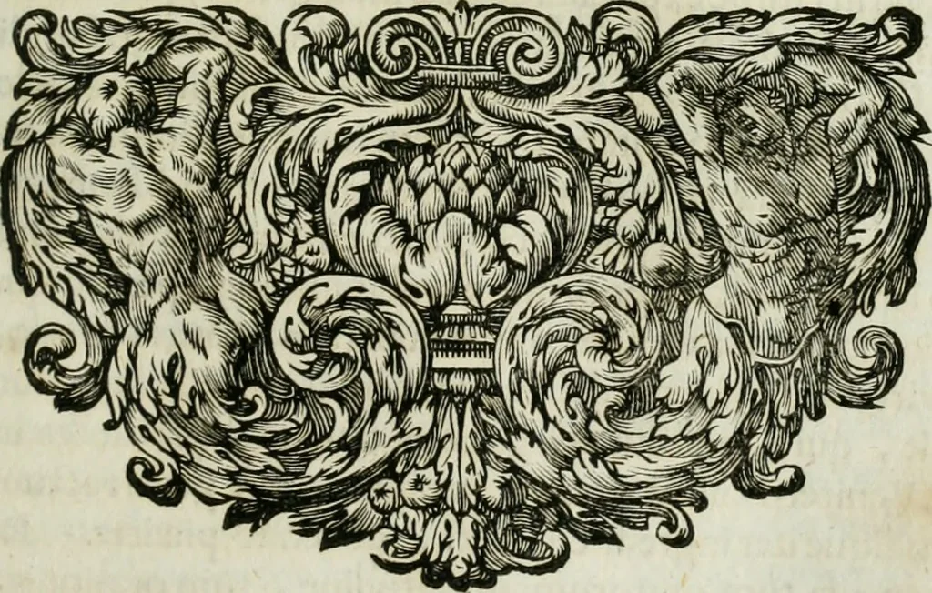 An illustration from Opera historica et philologica, sacra et profana. In quibus historia Boica, res augustanae, conversio & passio ss. martyrum Afrae, Hilariae, Dignae [et al.] ... continentur, 1682, leaf 242