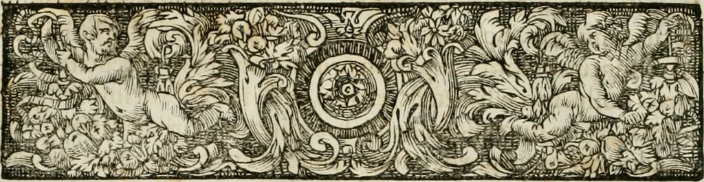 An illustration from Opera historica et philologica, sacra et profana. In quibus historia Boica, res augustanae, conversio & passio ss. martyrum Afrae, Hilariae, Dignae [et al.] ... continentur, 1682, leaf 243