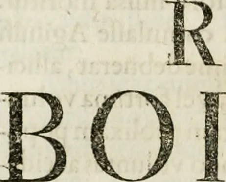 An illustration from Opera historica et philologica, sacra et profana. In quibus historia Boica, res augustanae, conversio & passio ss. martyrum Afrae, Hilariae, Dignae [et al.] ... continentur, 1682, leaf 243