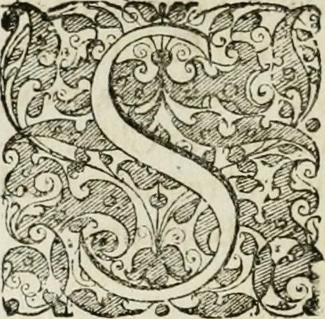 An illustration from Opera historica et philologica, sacra et profana. In quibus historia Boica, res augustanae, conversio & passio ss. martyrum Afrae, Hilariae, Dignae [et al.] ... continentur, 1682, leaf 243