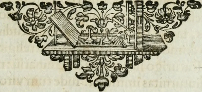 An illustration from Opera historica et philologica, sacra et profana. In quibus historia Boica, res augustanae, conversio & passio ss. martyrum Afrae, Hilariae, Dignae [et al.] ... continentur, 1682, leaf 272