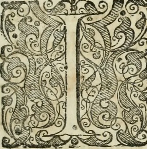 An illustration from Opera historica et philologica, sacra et profana. In quibus historia Boica, res augustanae, conversio & passio ss. martyrum Afrae, Hilariae, Dignae [et al.] ... continentur, 1682, leaf 312